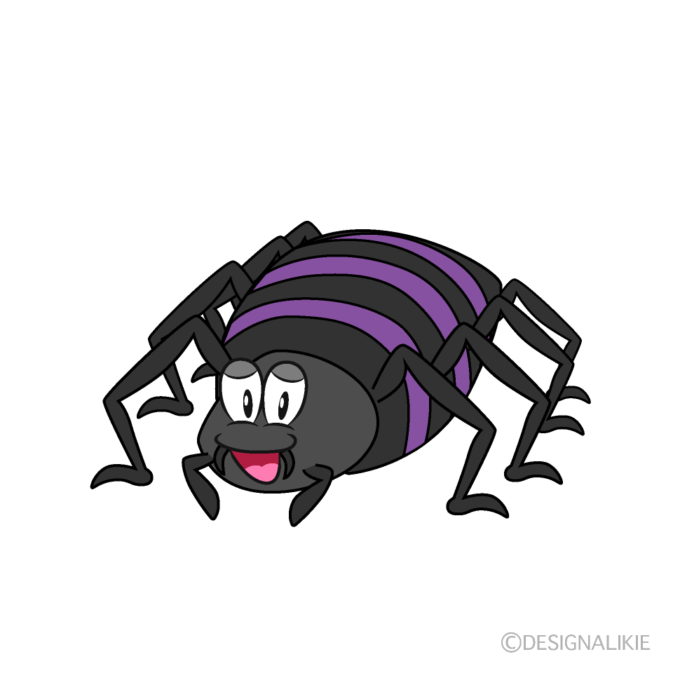 Spider