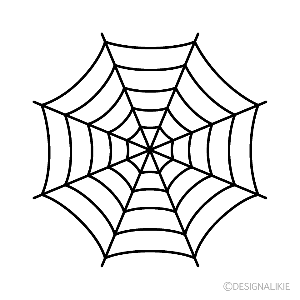 Spiderweb