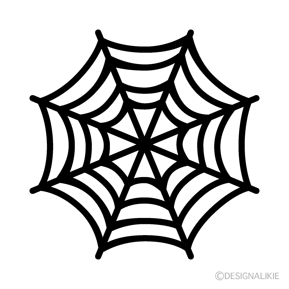 Thick Spiderweb