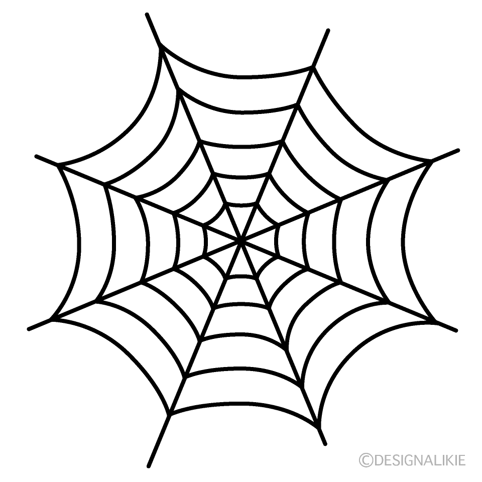 Big Spiderweb