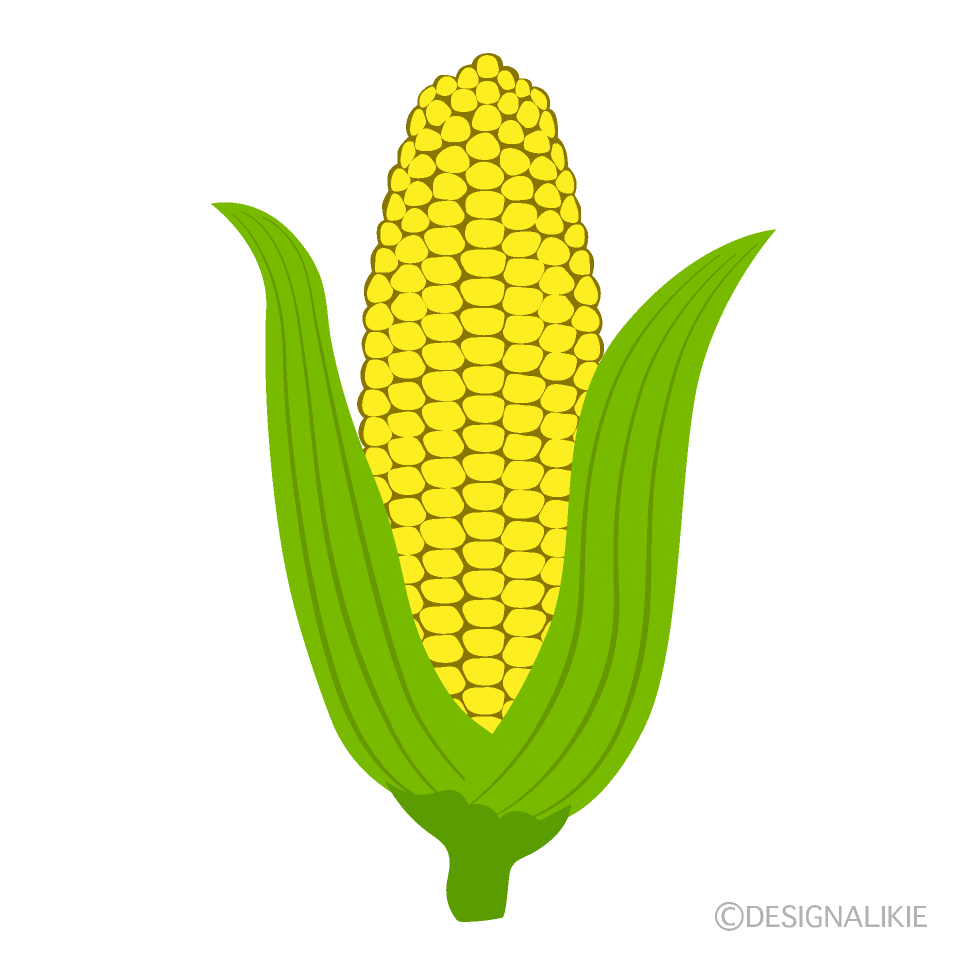 Yellow Corn