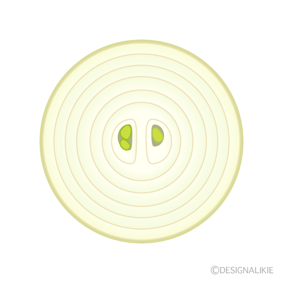 Sliced Onion