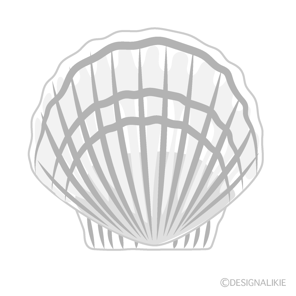 Seashell