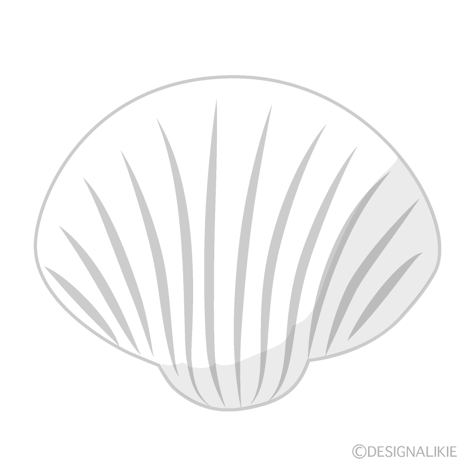 White Shell