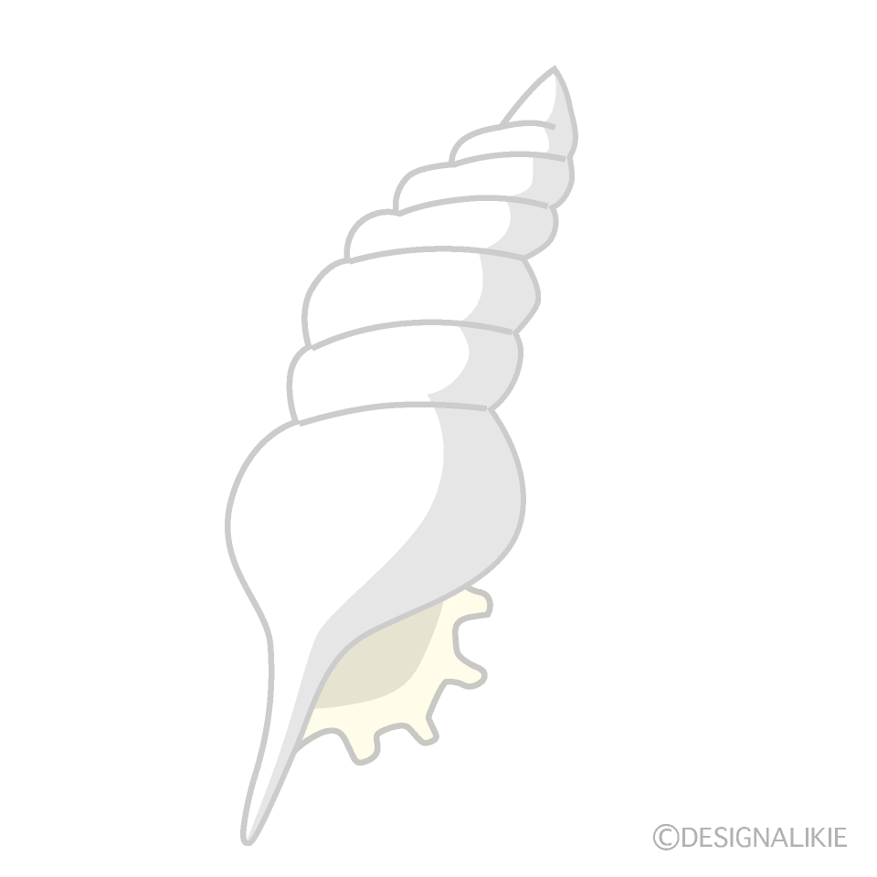 White Sea Snail