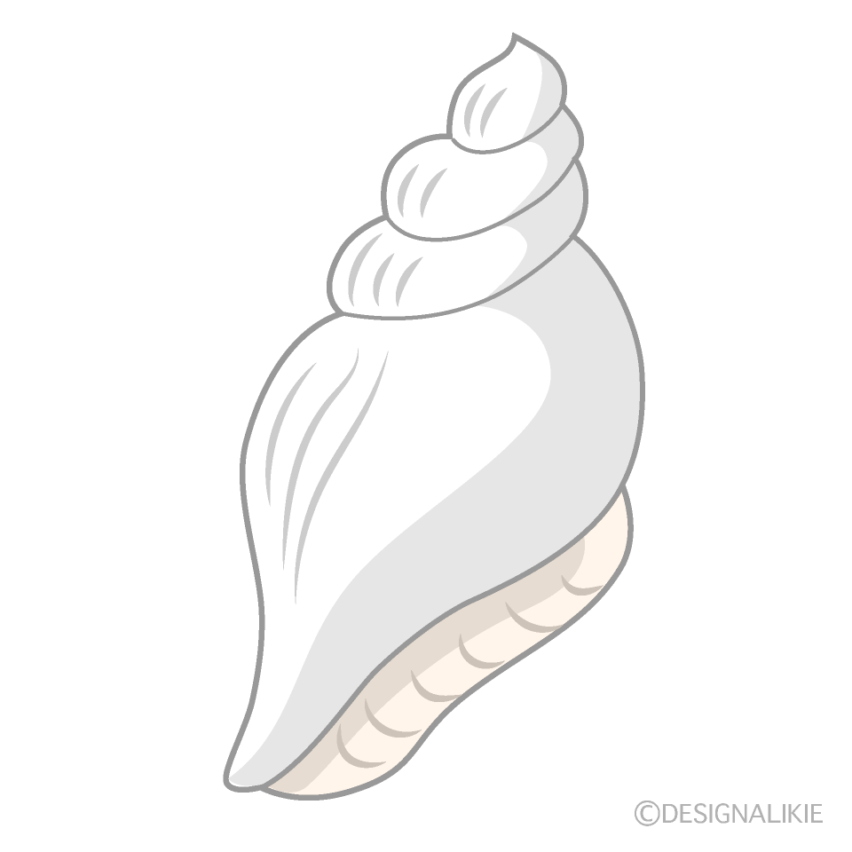 White Shell