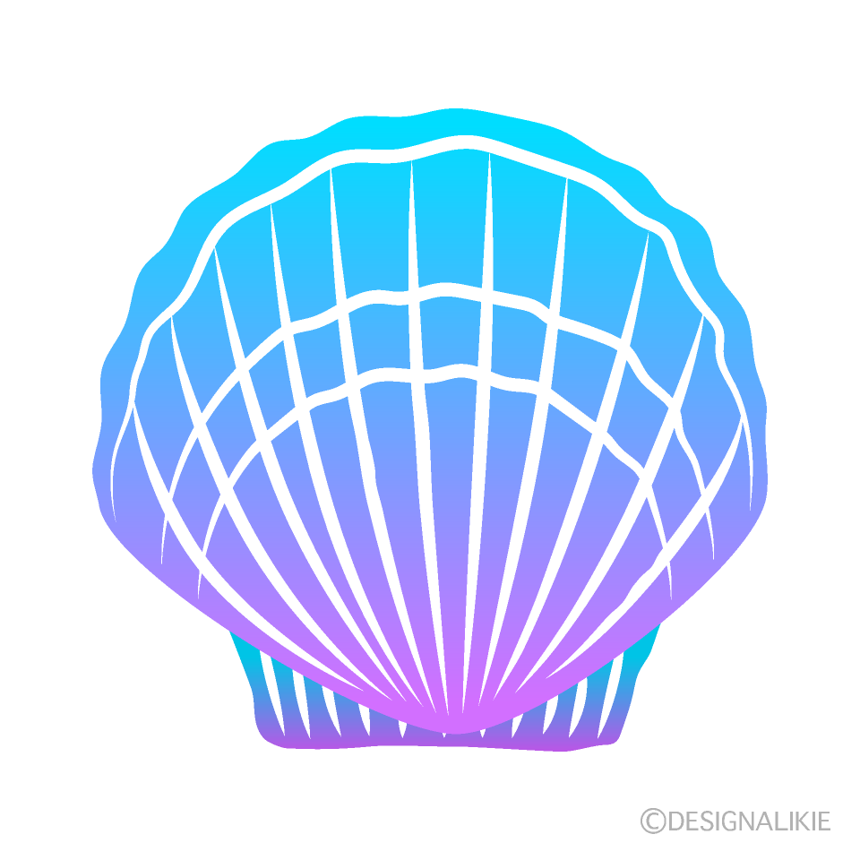 Colorful Shell