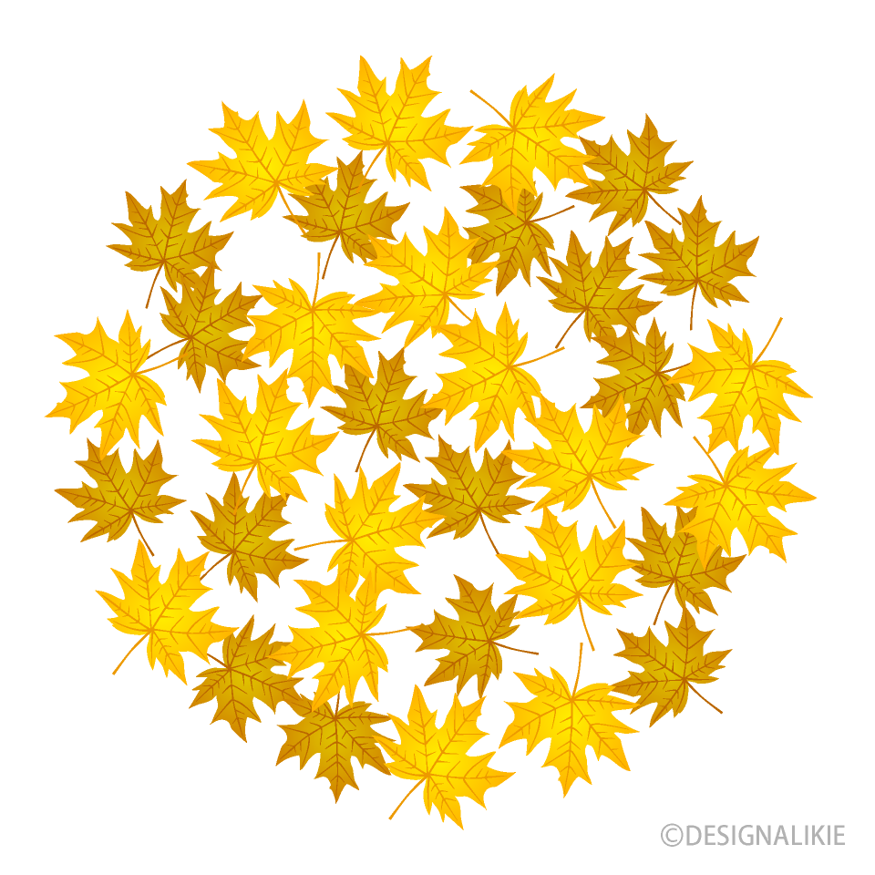 Yellow Fall Leaves Circle