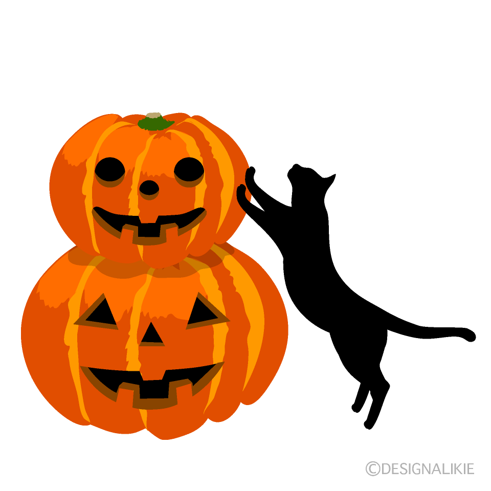 Playing Black Cat with Pumpkin