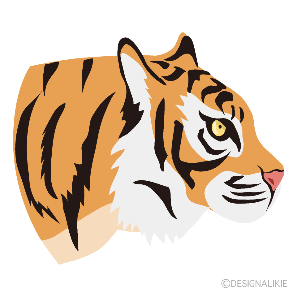 Tiger Profile