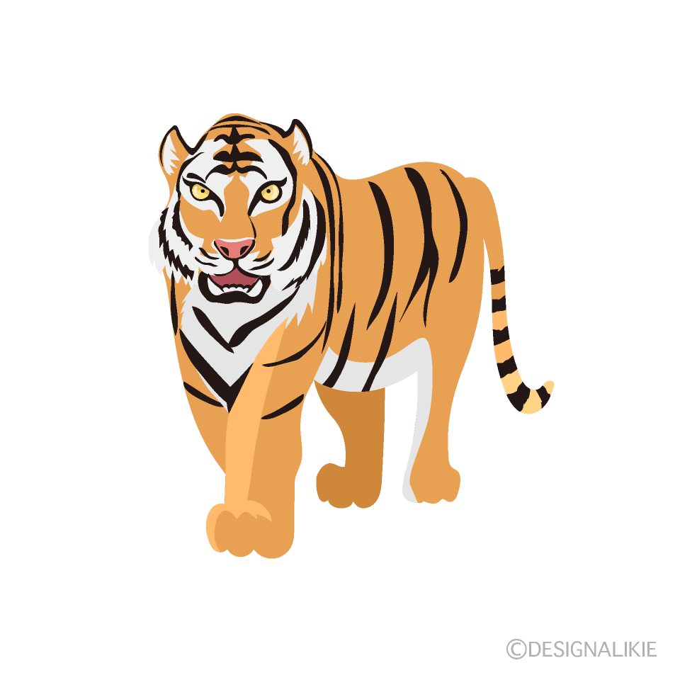 Cool Tiger