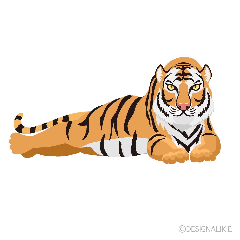 Relaxing Tiger