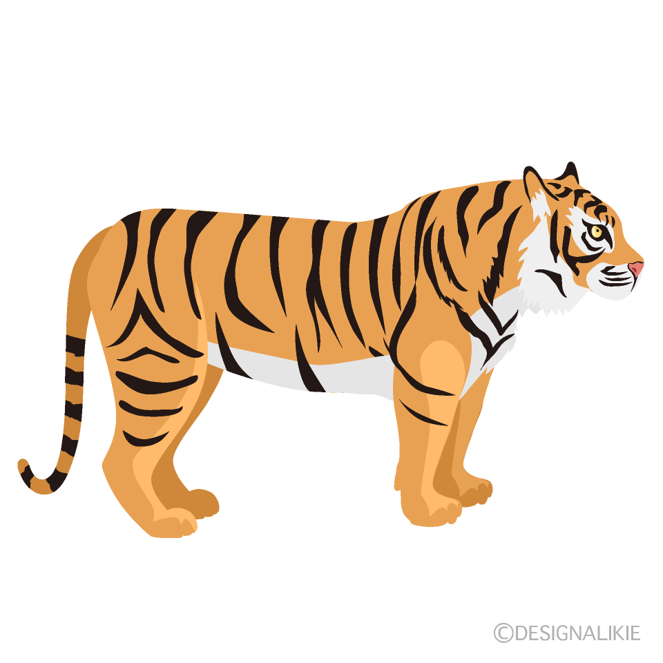 Tiger Side