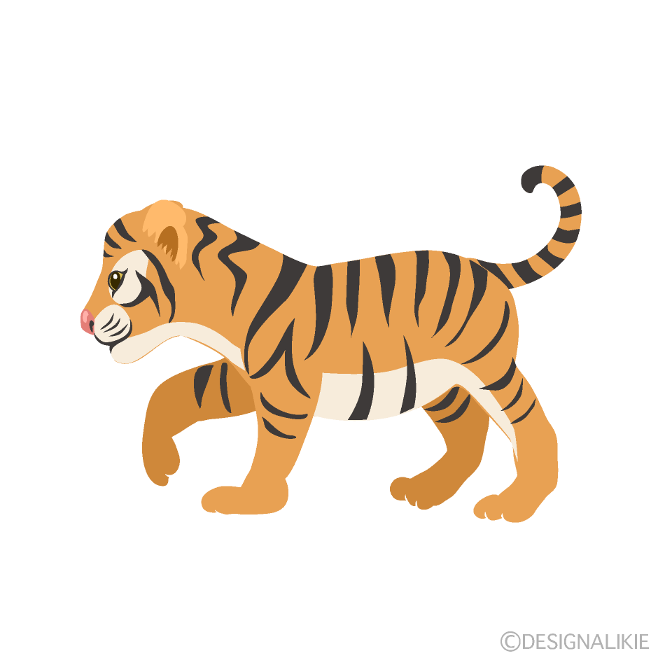 Child Tiger Walking