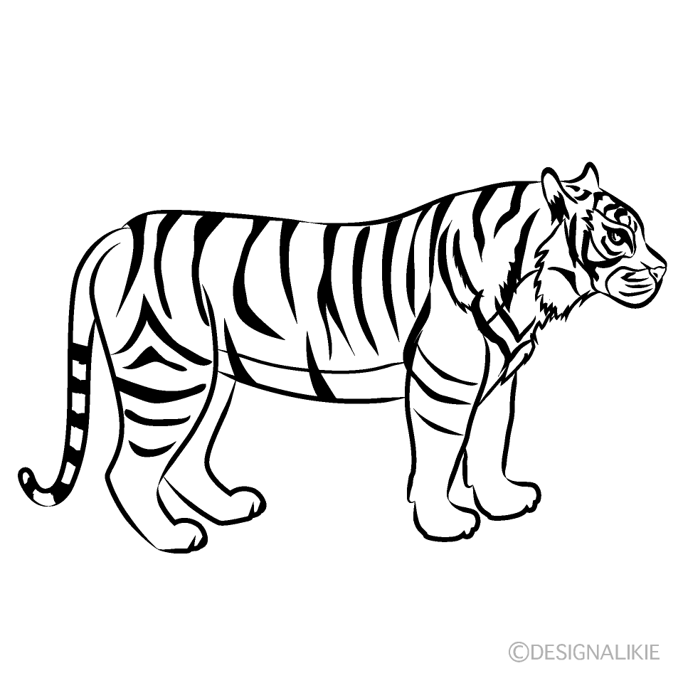Tiger Side Black and White