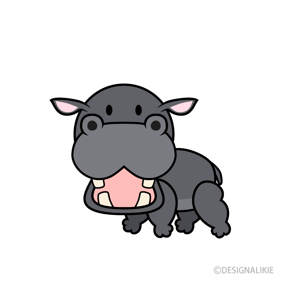 Cute Hippo