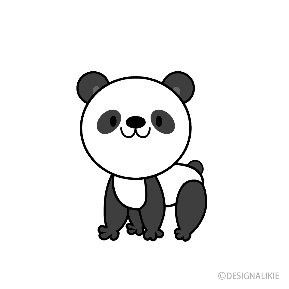 Cute Panda