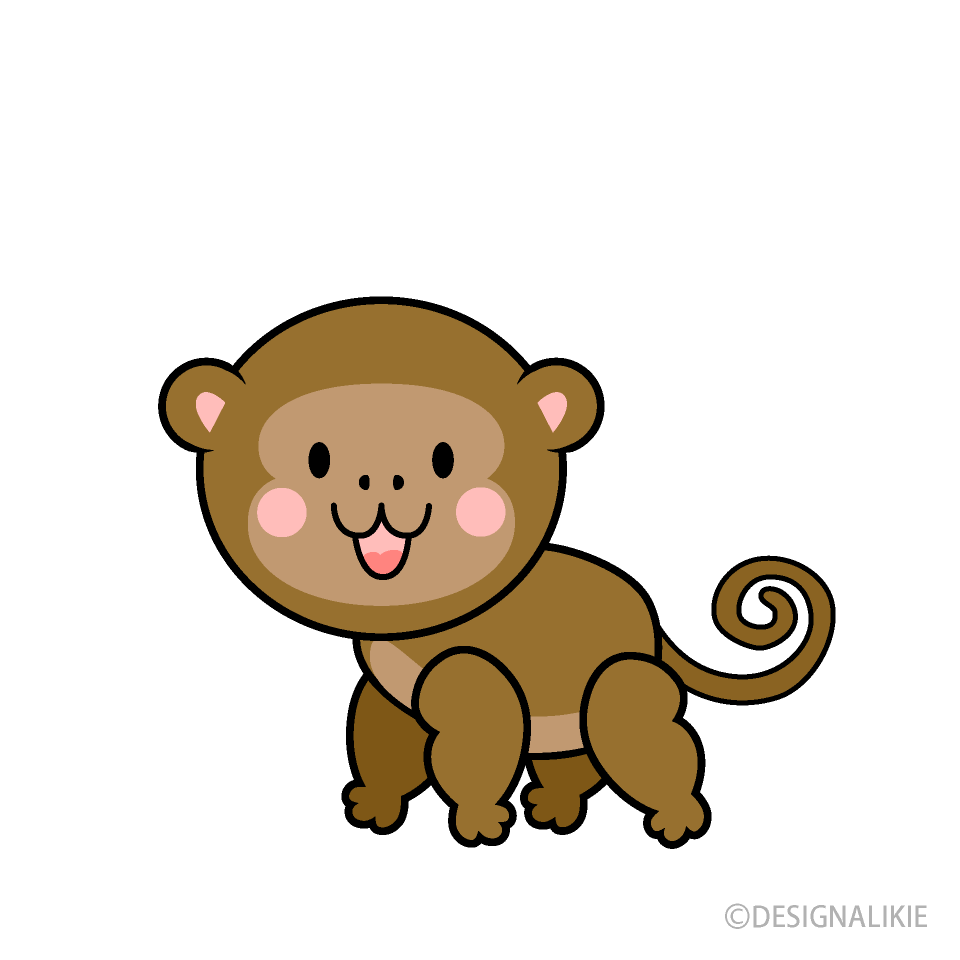 Cute Monkey