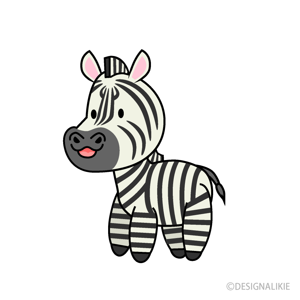 Cute Zebra