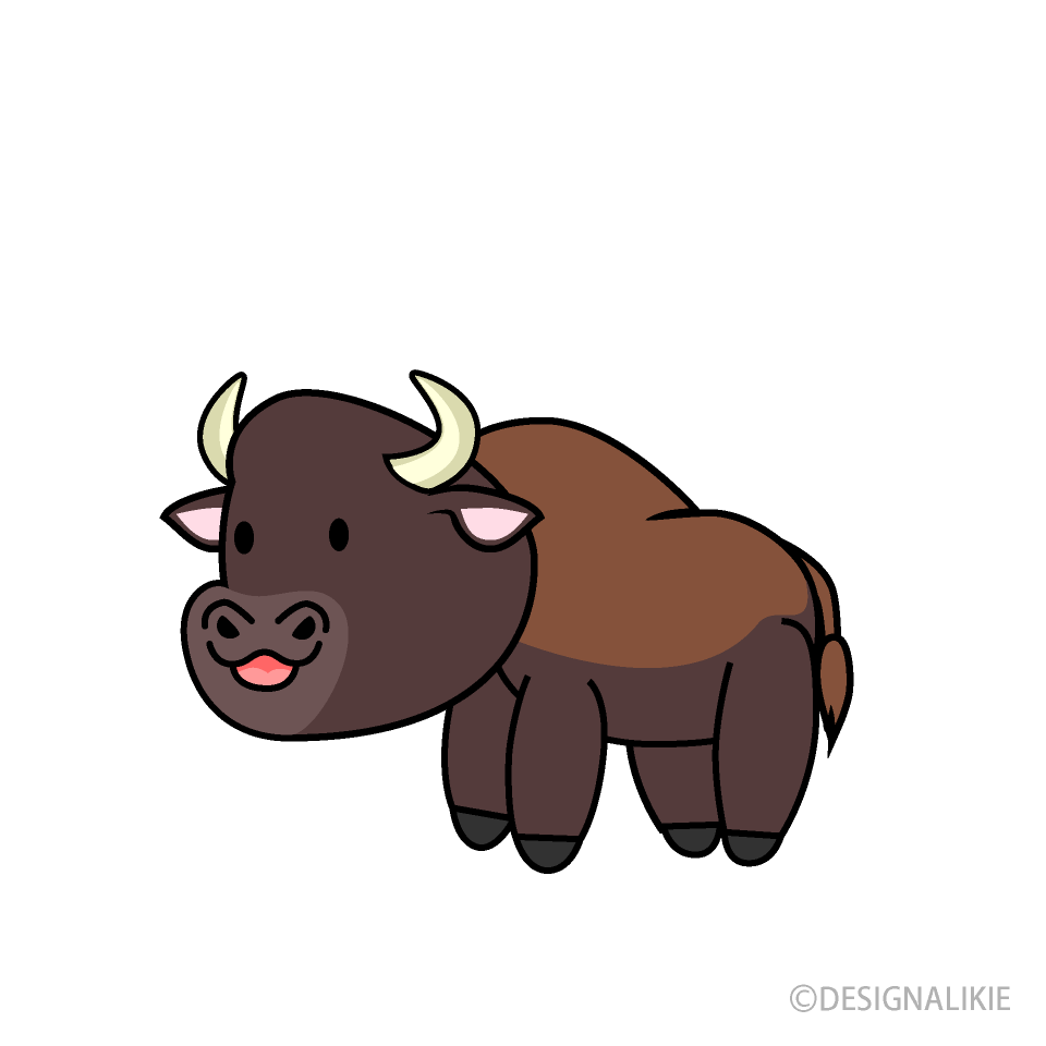 Cute Bison