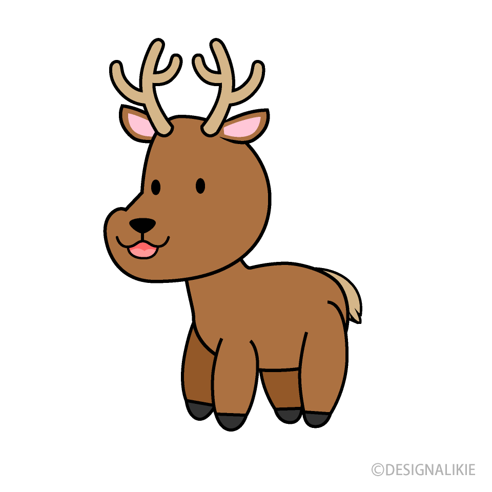 Cute Deer