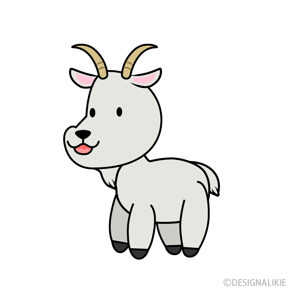 Cute Goat