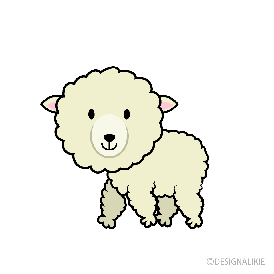 Cute Sheep