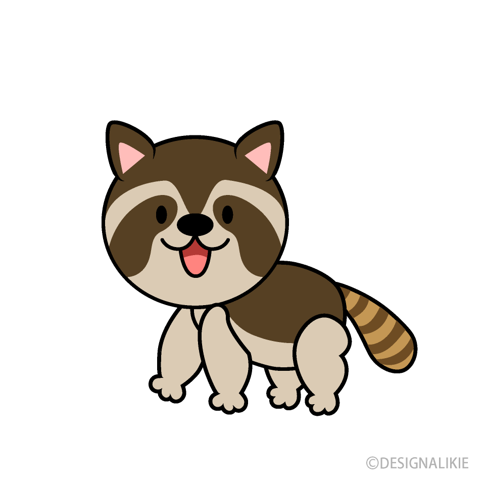 Cute Raccoon