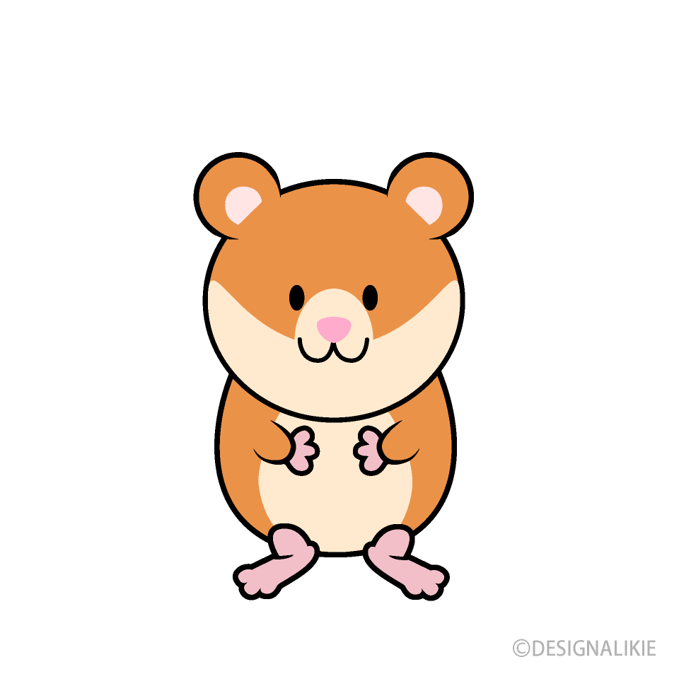 Cute Hamster