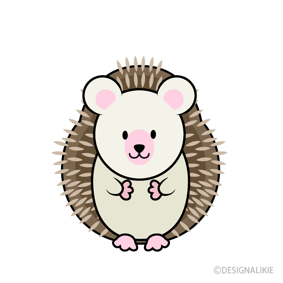 Cute Hedgehog