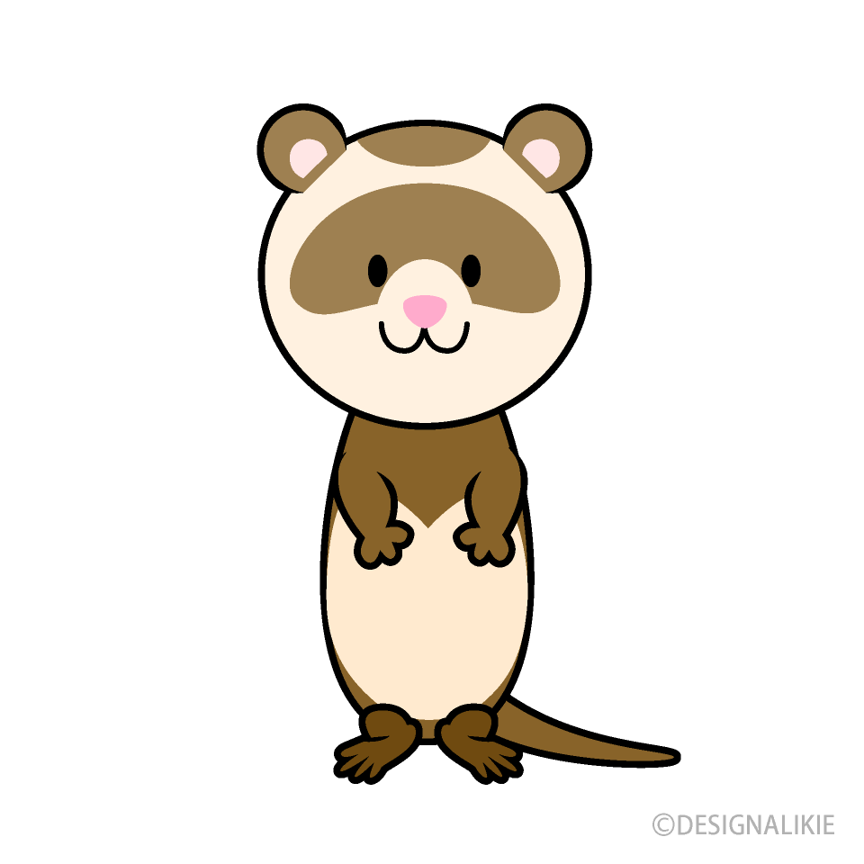 Cute Otter