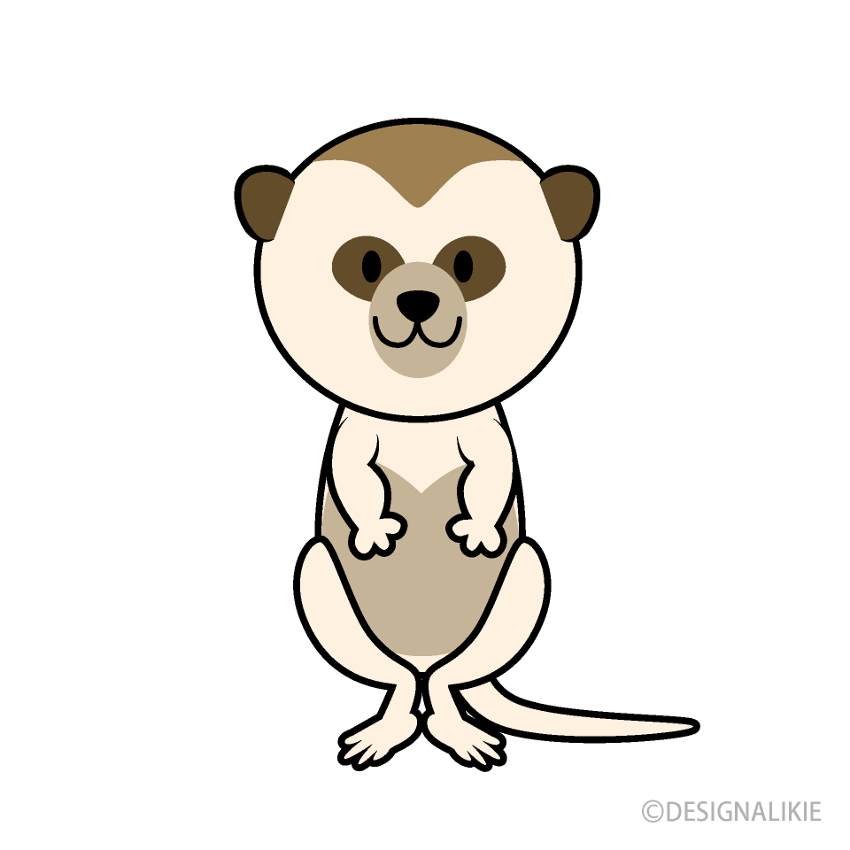 Cute Meerkat