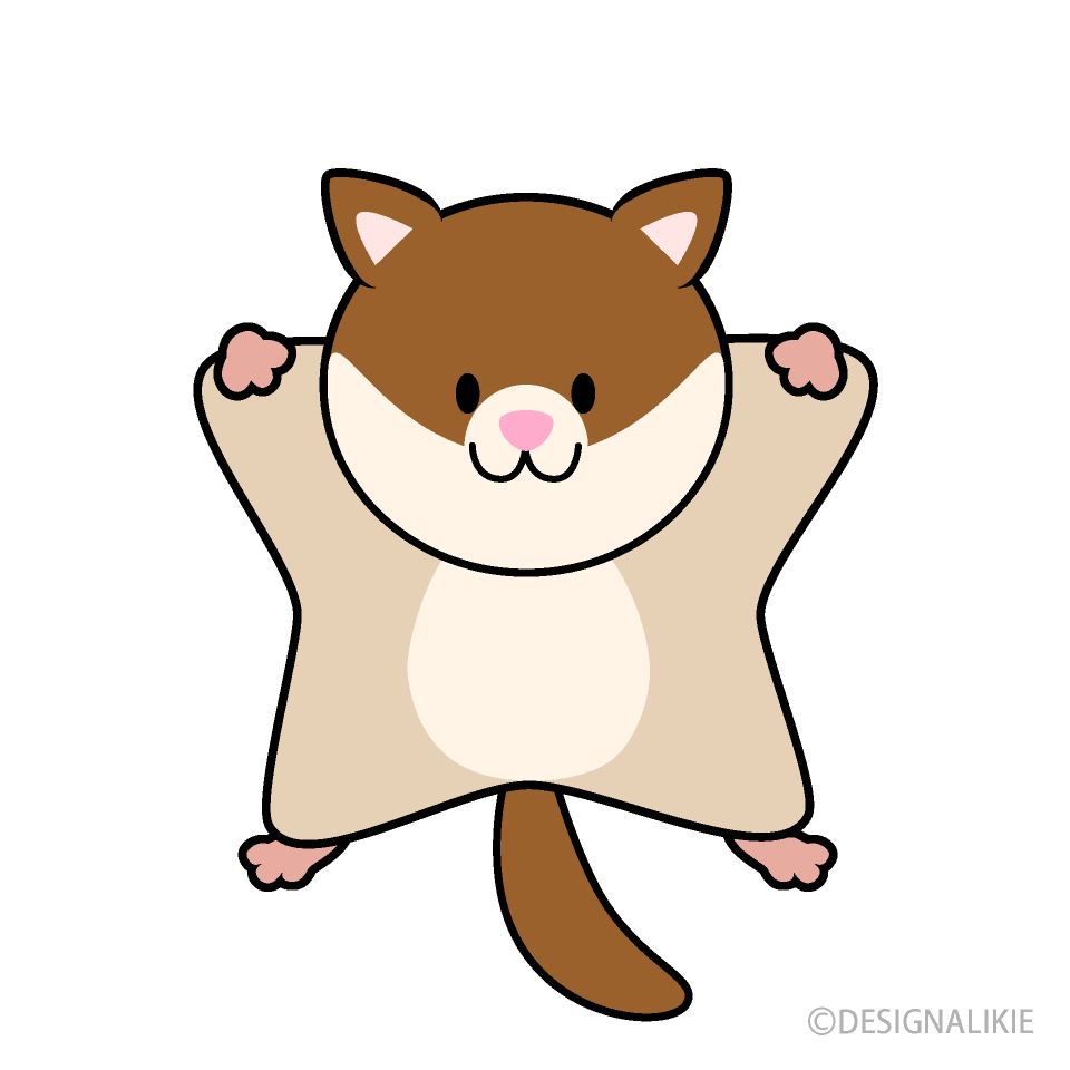 Cute Flying Squirrel