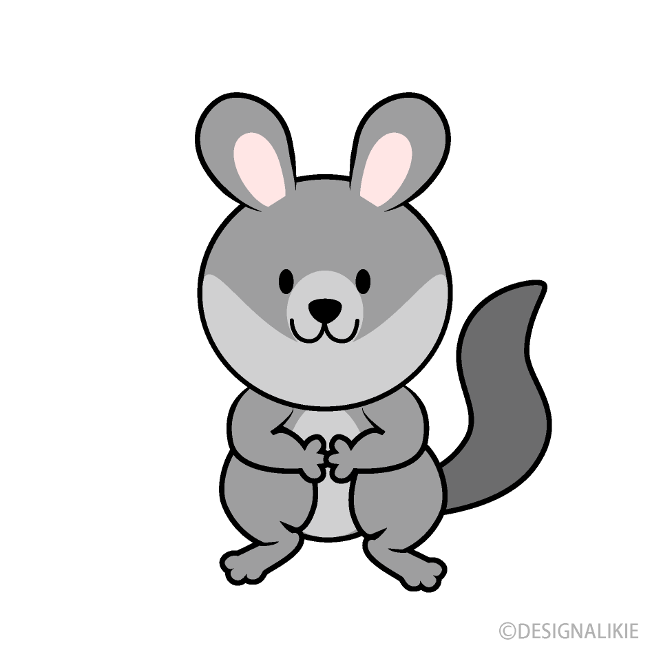 Cute Chinchilla