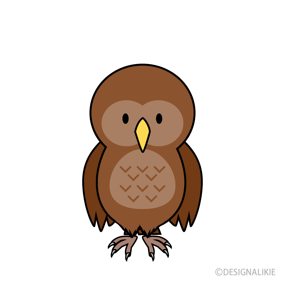 Cute Owl