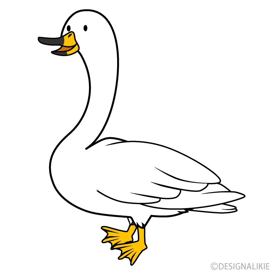 Cute Swan