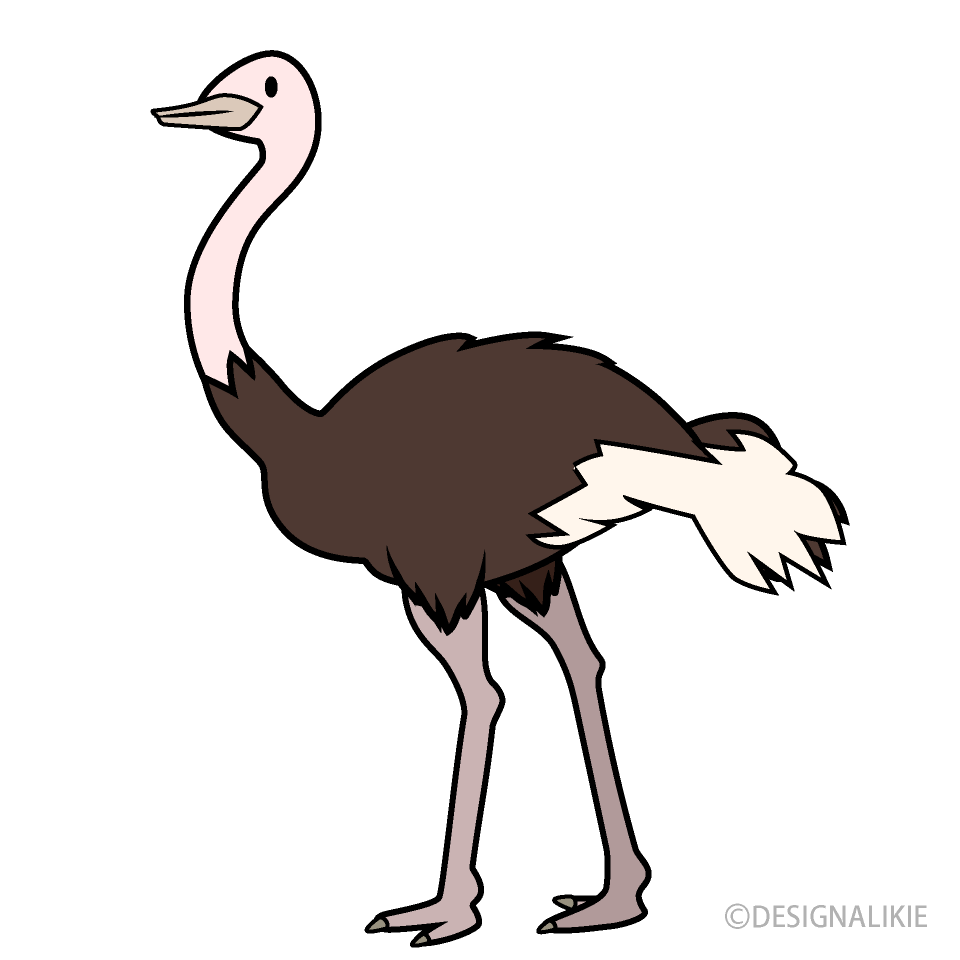 Cute Ostrich