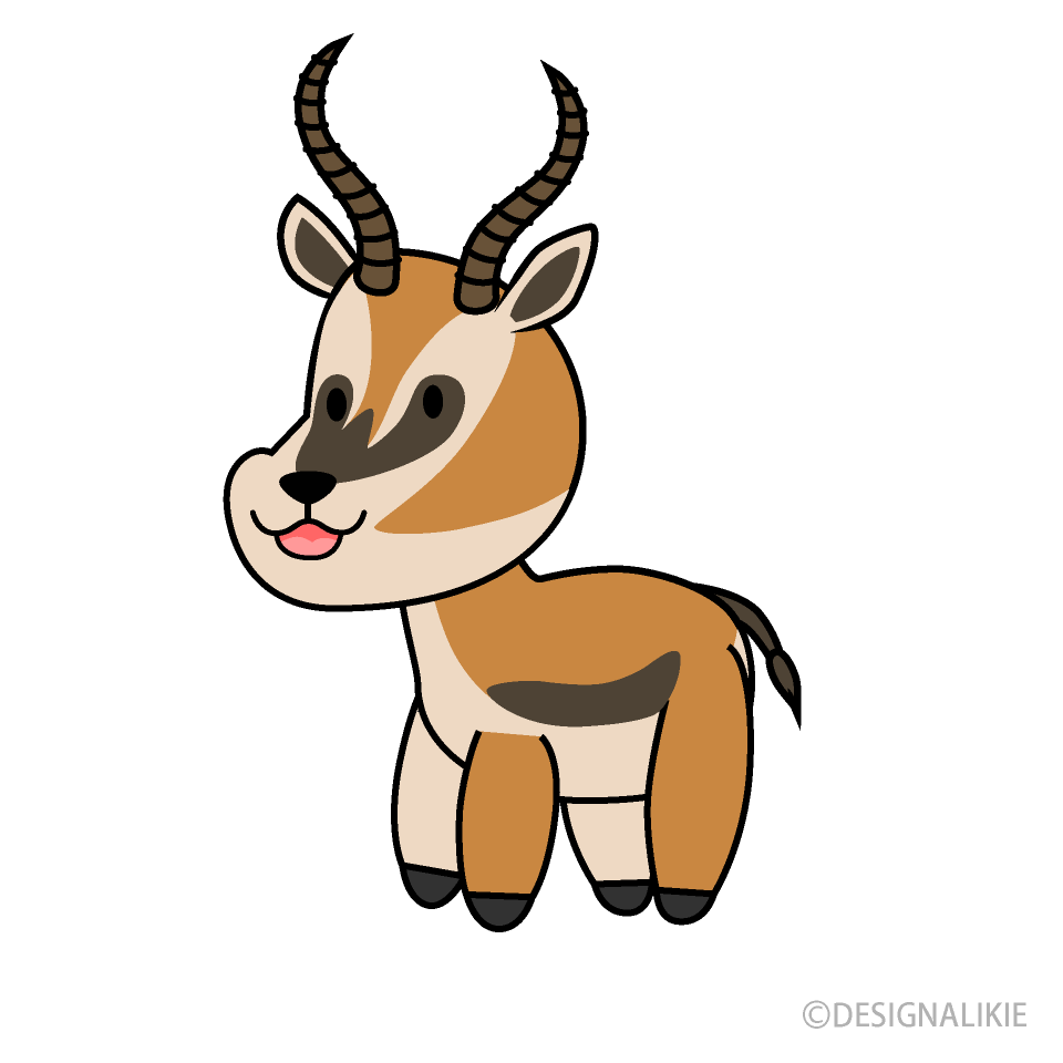 Cute Gazelle