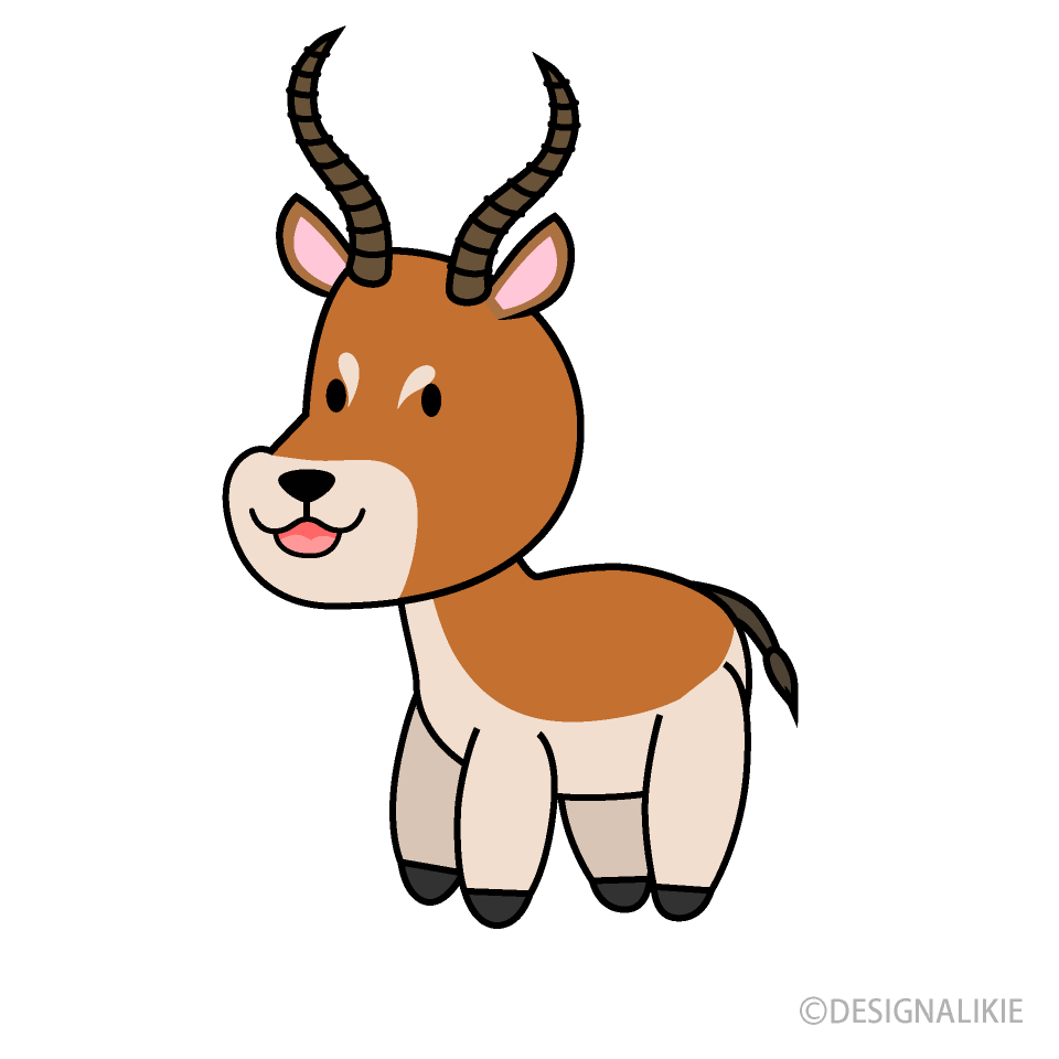 Cute Impala