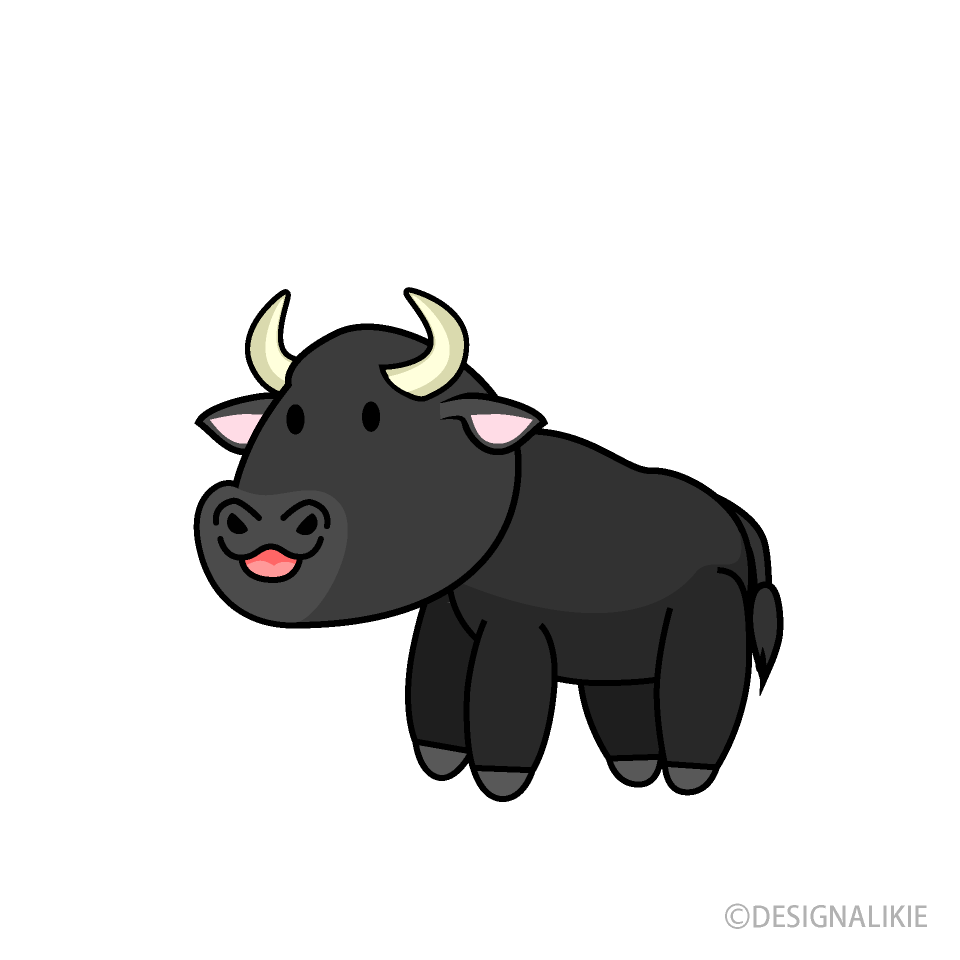 Cute Water Buffalo