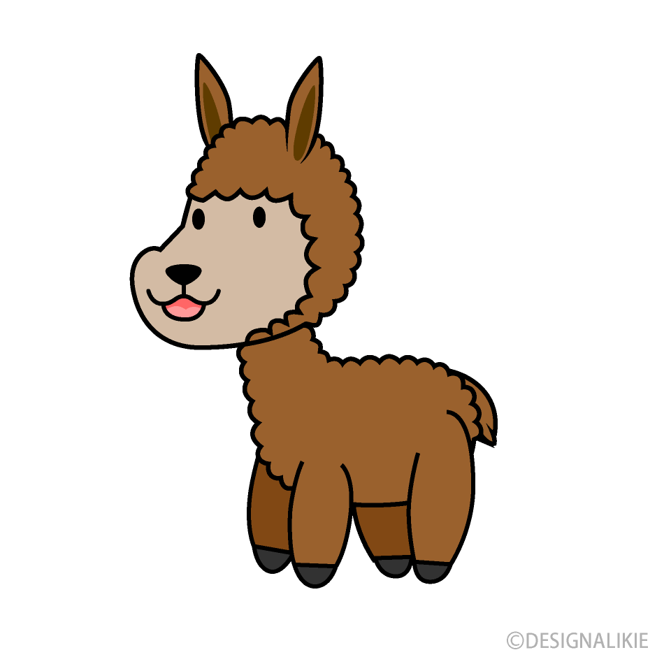 Cute Llama