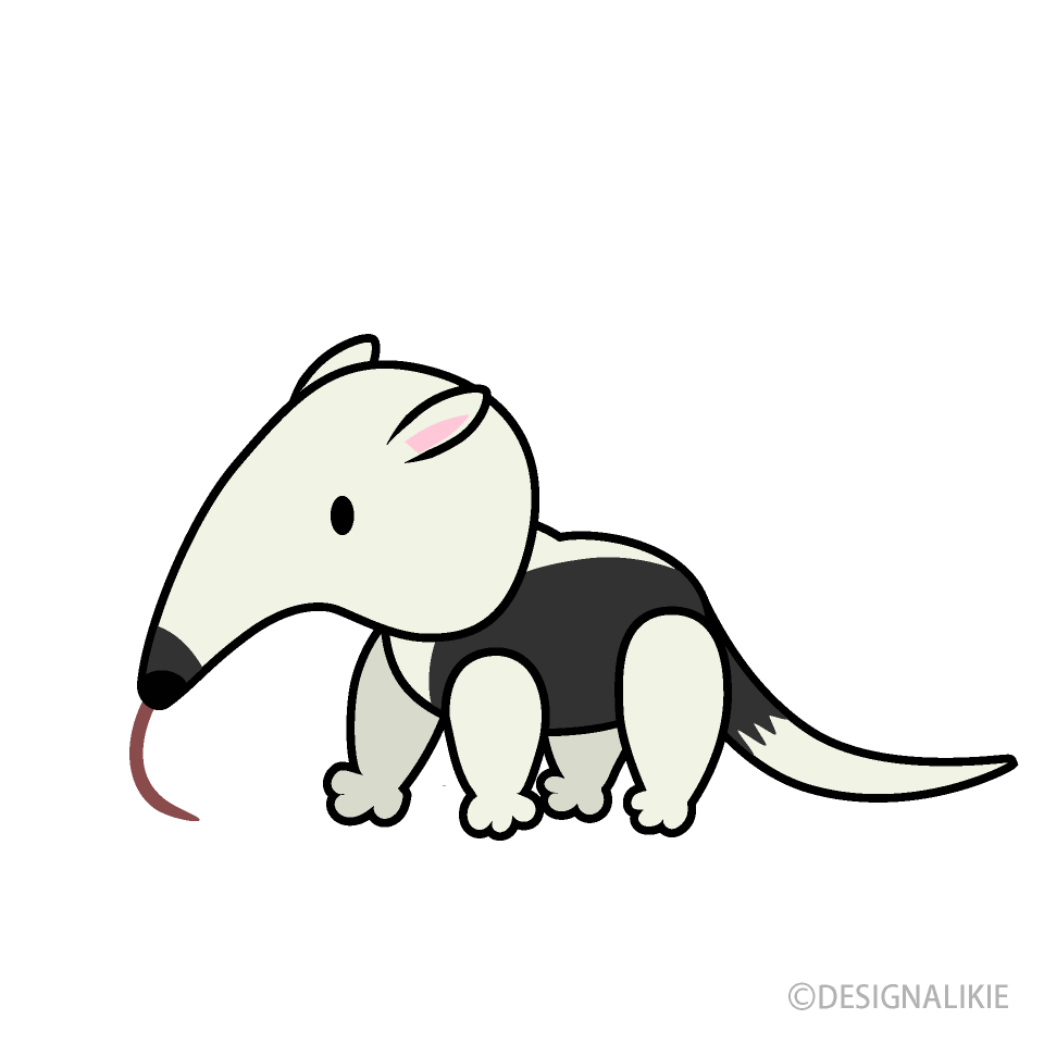 Cute Anteater