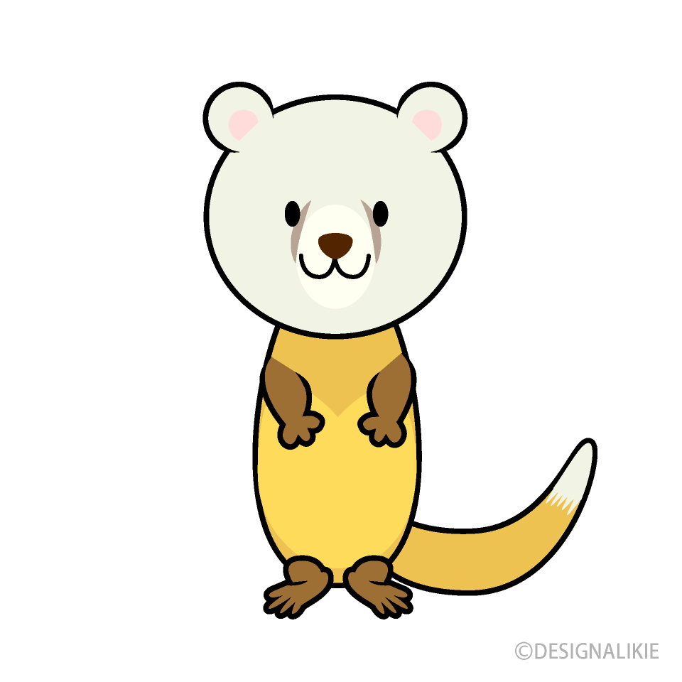 Cute Marten