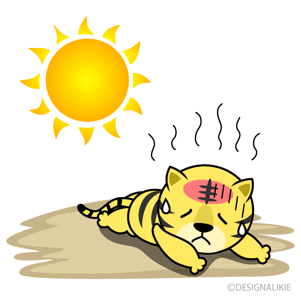 Heat Stroke in Tiger