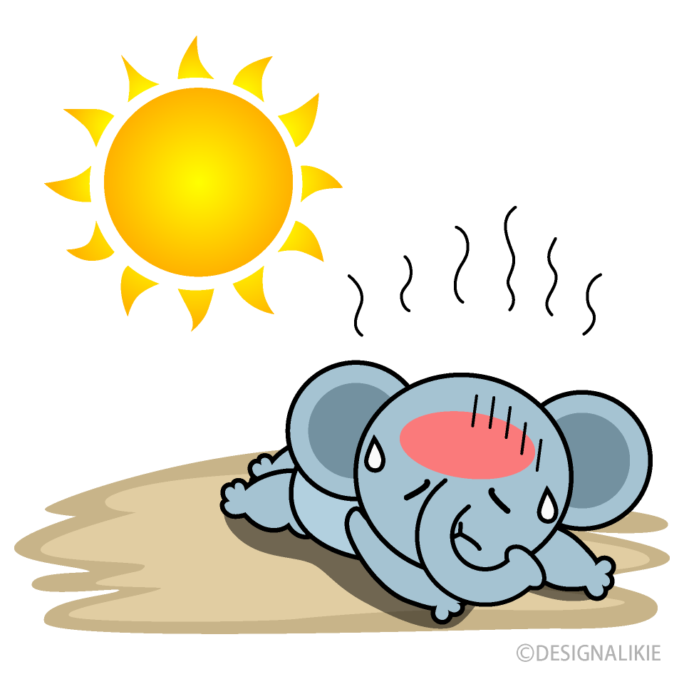 Heat Stroke in Elephant