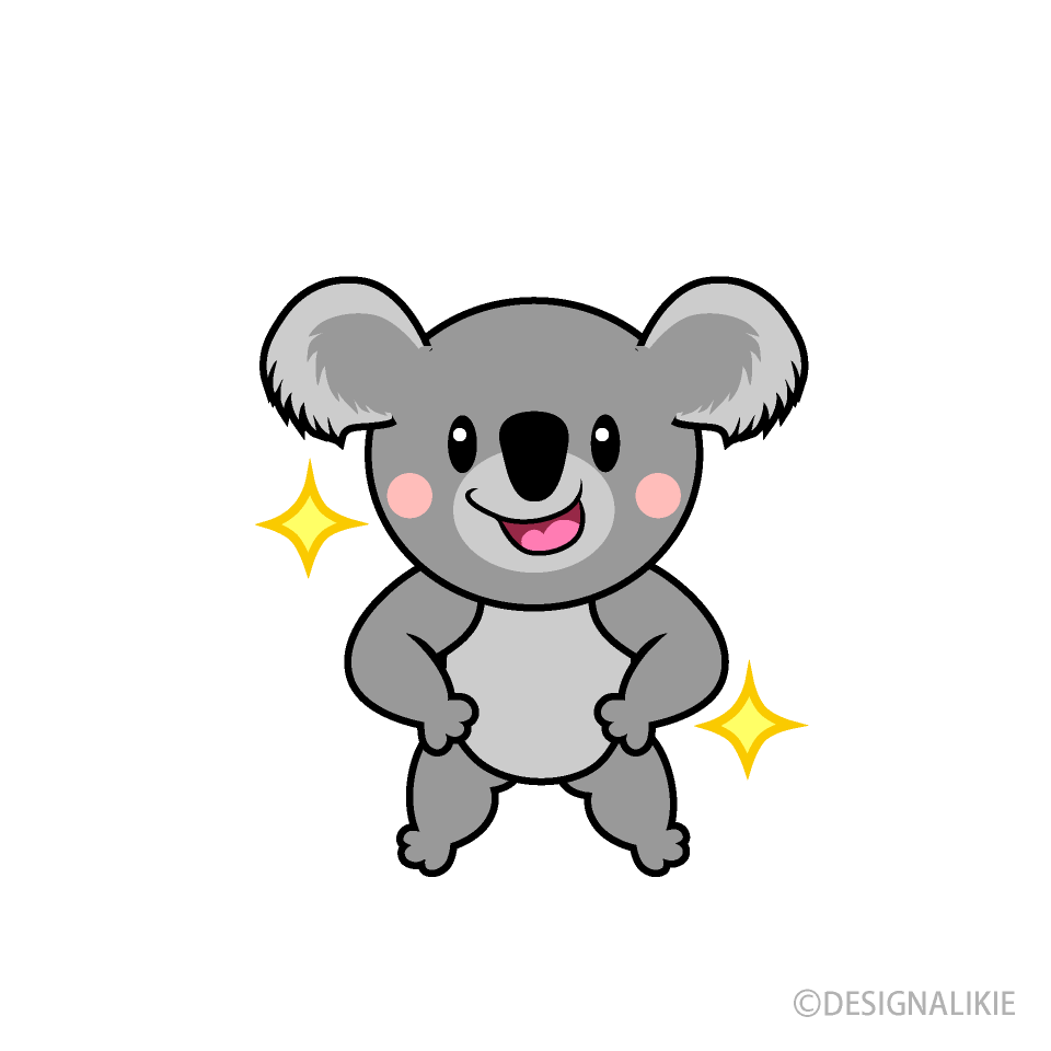 Confident Koala