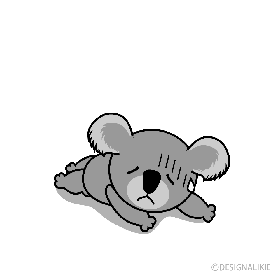 Tired Koala