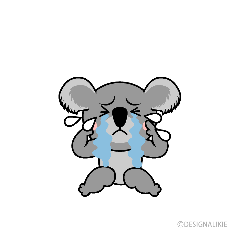 Scared Koala