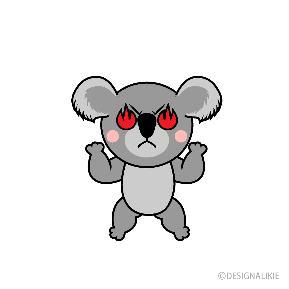 Koala enojado