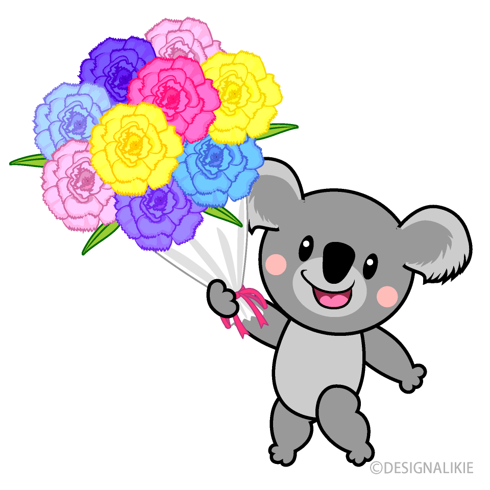 Señalando Koala